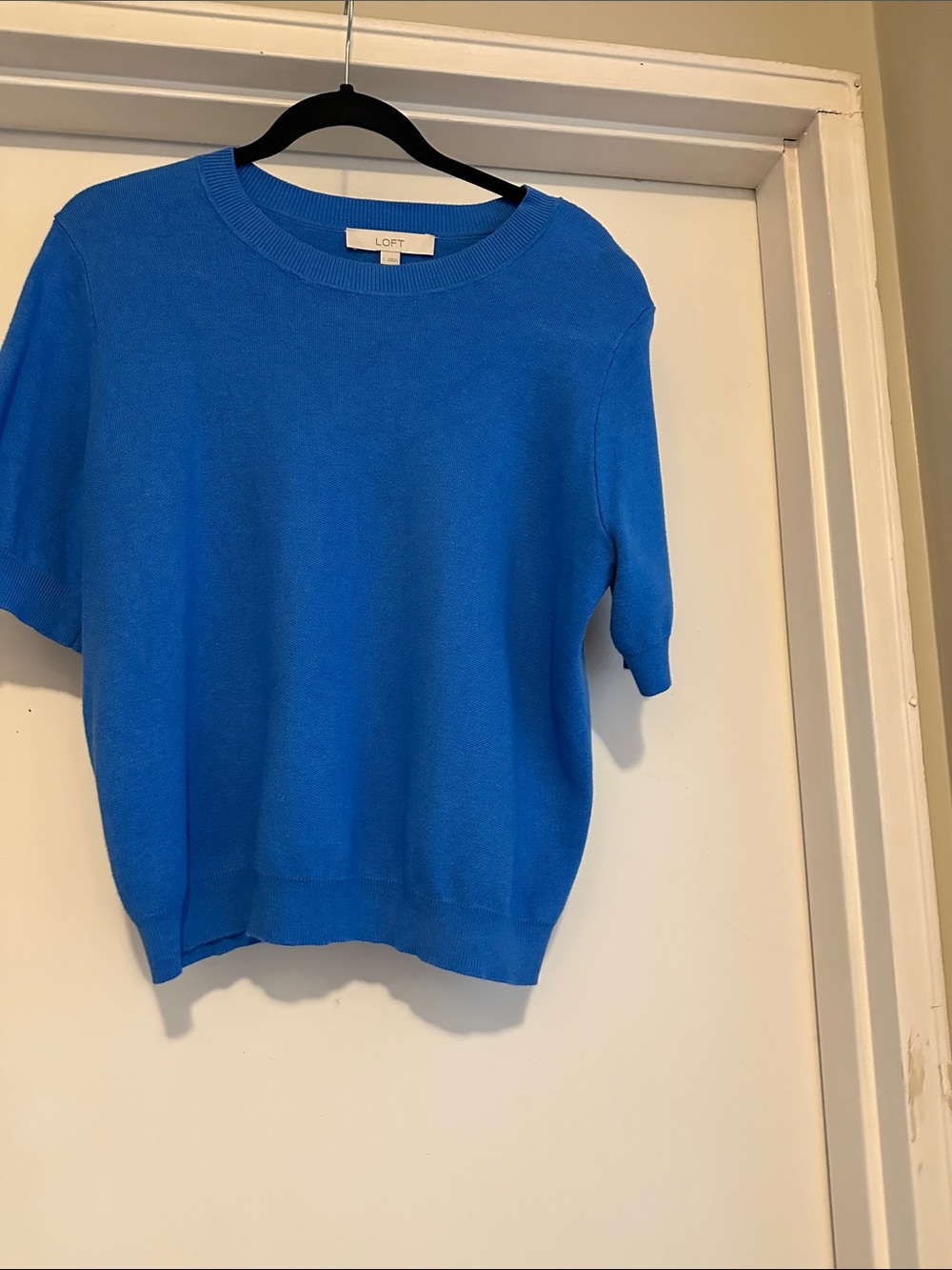 ann taylor sweater
